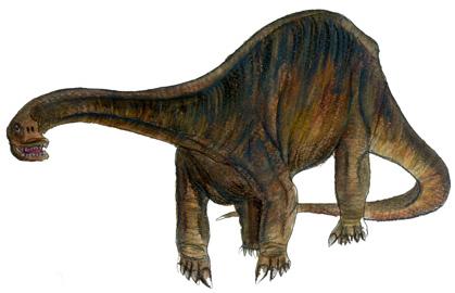 dinosaur picture cetiosaurus