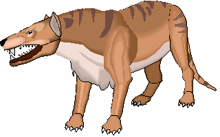 Andrewsarchus