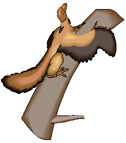 Archaeopteryx