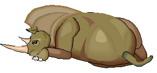 Coelodonta antiquitatis