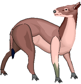 Hyracotherium