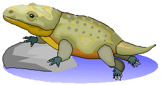Mastodonsaurus