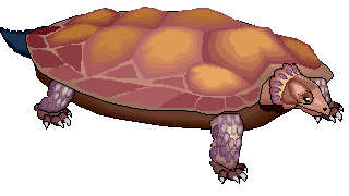 Proganochelys