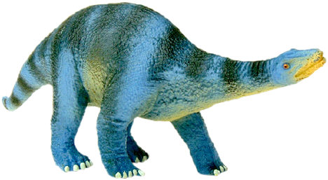 Apatosaurus (Brontosaurus) picture 7