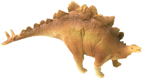 Stegosaurus picture 10