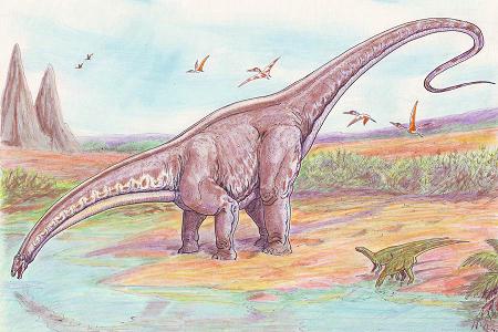 Apatosaurus (Brontosaurus) picture 8