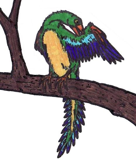 Archaeopteryx