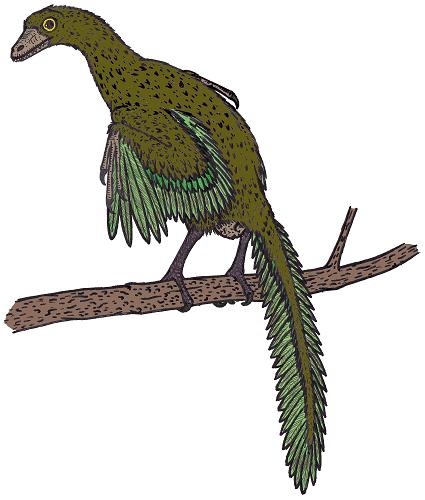 Archaeopteryx