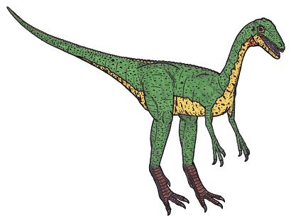 Compsognathus picture 2