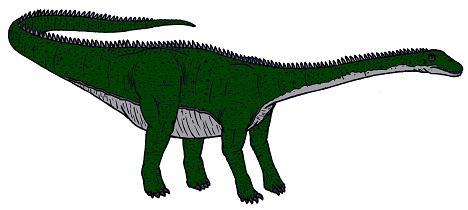 Diplodocus picture 5