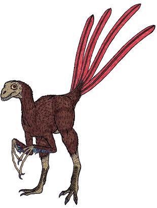 dinosaur picture epidexipteryx