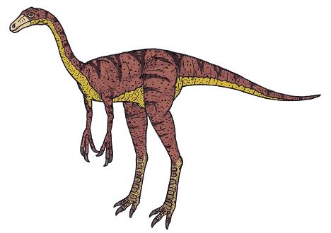 Gallimimus picture 2