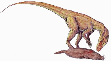 Herrerasaurus picture 1