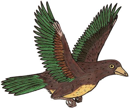 Liaoningornis