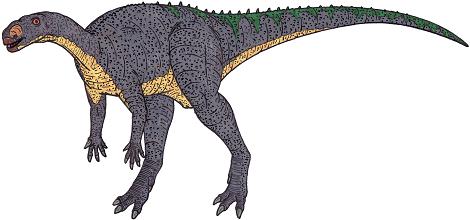 dinosaur picture muttaburrasaurus