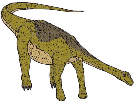 dinosaur picture nemegtosaurus