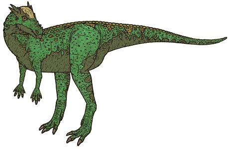 Pachycephalosaurus picture 4