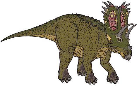 Pentaceratops picture 2