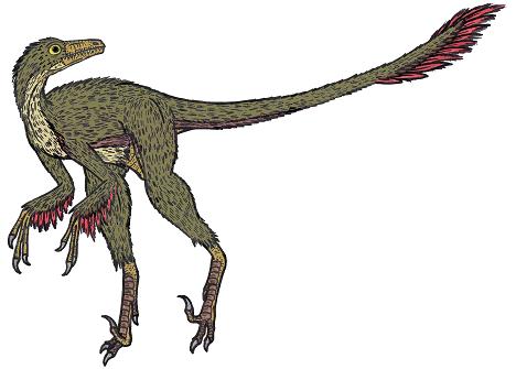 dinosaur picture Sinovenator