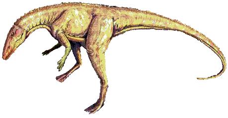 Staurikosaurus picture