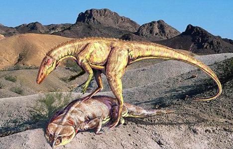 Staurikosaurus picture 1