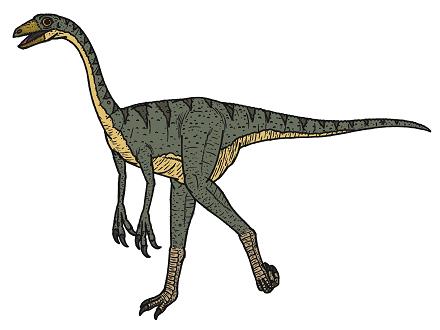 dinosaur picture struthiomimus
