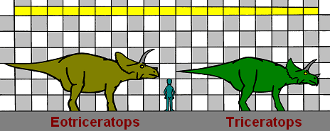 Size comparison of Eotriceratops with Triceratops