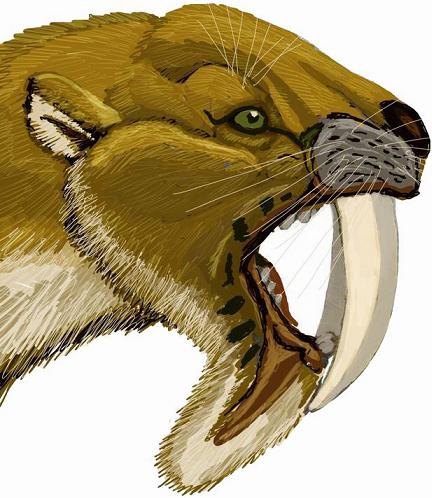 Thylacosmilus