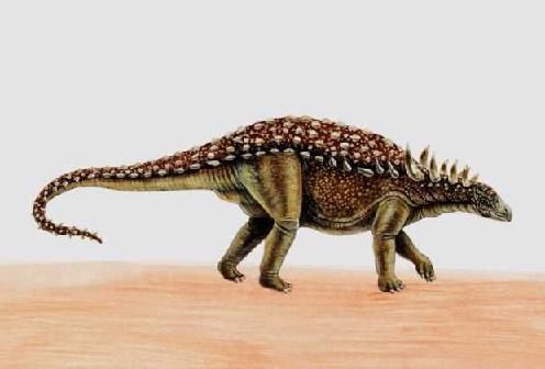 Euoplocephalus picture 2