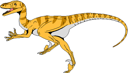 Velociraptor picture 4