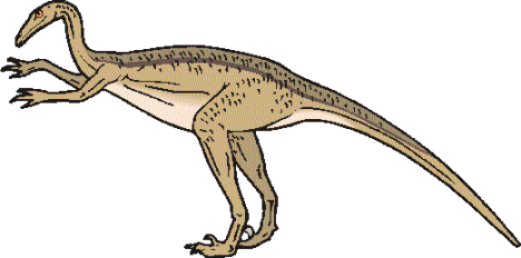 dinosaur picture troodon