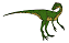 Coelurus was a carnivore (meat-eater) that lived from 153 to 150 million years ago