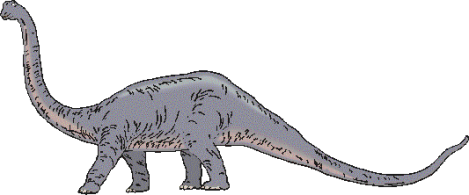 Diplodocus picture 6