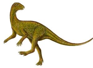 dinosaur picture pisanosaurus