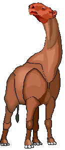 Paraceratherium