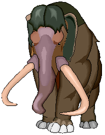 Mammuthus primigenius (Woolly Mammoth)
