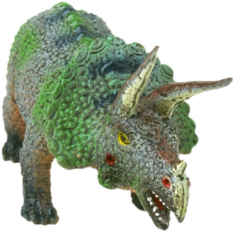 Triceratops picture 9