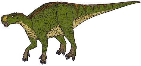 dinosaur picture altirhinus