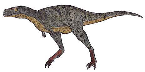dinosaur picture aucasaurus