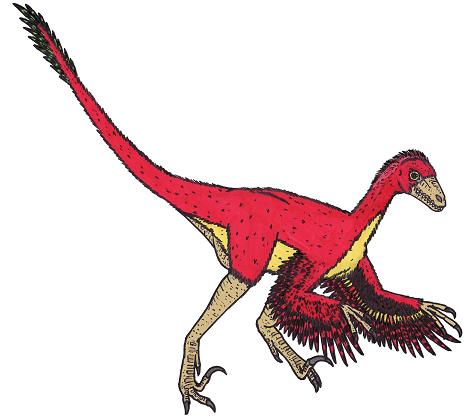 dinosaur picture bambiraptor