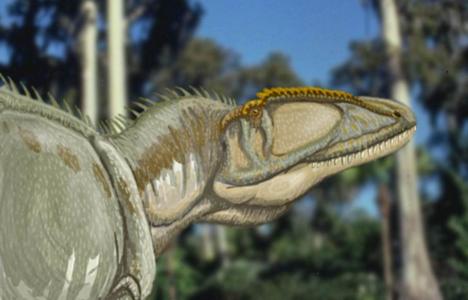 dinosaur picture Carcharodontosaurus 1