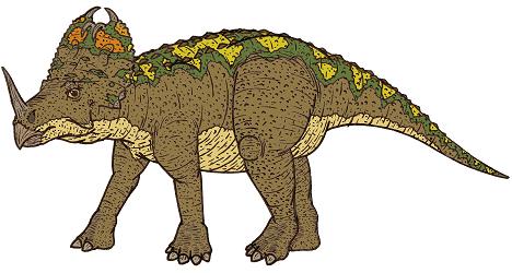 Centrosaurus picture 2