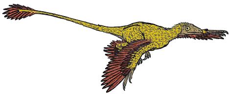 dinosaur picture microraptor