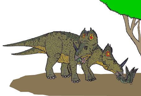 Monoclonius picture 3