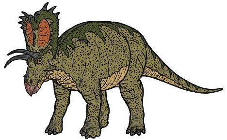 Pentaceratops picture 3