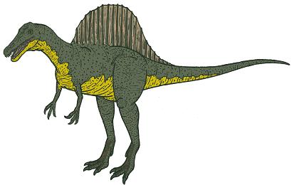 Spinosaurus picture 5