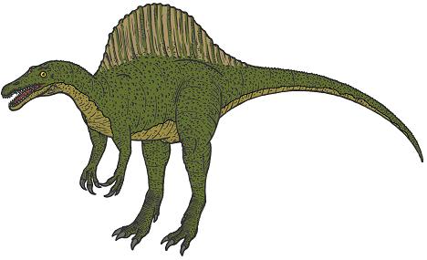 Spinosaurus picture 7