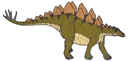 Stegosaurus picture 11