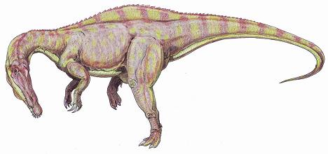Suchomimus picture 4