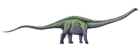 dinosaur picture supersaurus